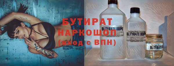твердый Новодвинск