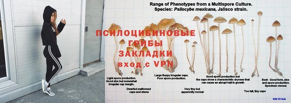 гашишное масло Новокубанск