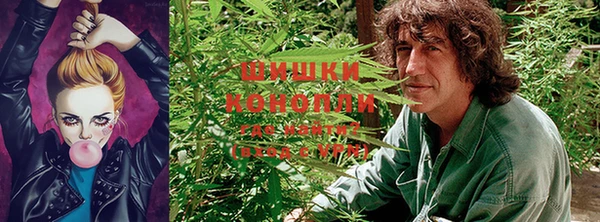 твердый Новодвинск