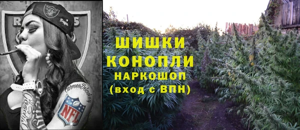 твердый Новодвинск