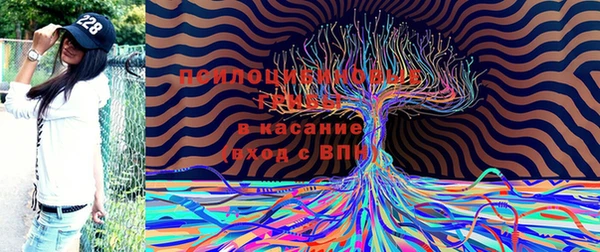 твердый Новодвинск
