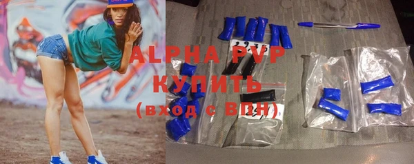 твердый Новодвинск