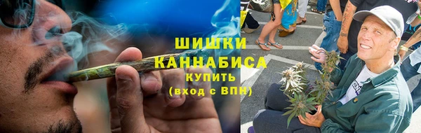 дмт Билибино