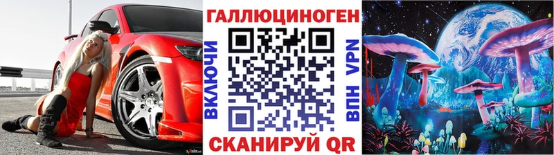 Галлюциногенные грибы Psilocybe Лениногорск