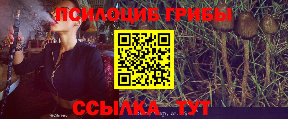 Псилоцибиновые грибы GOLDEN TEACHER Лениногорск